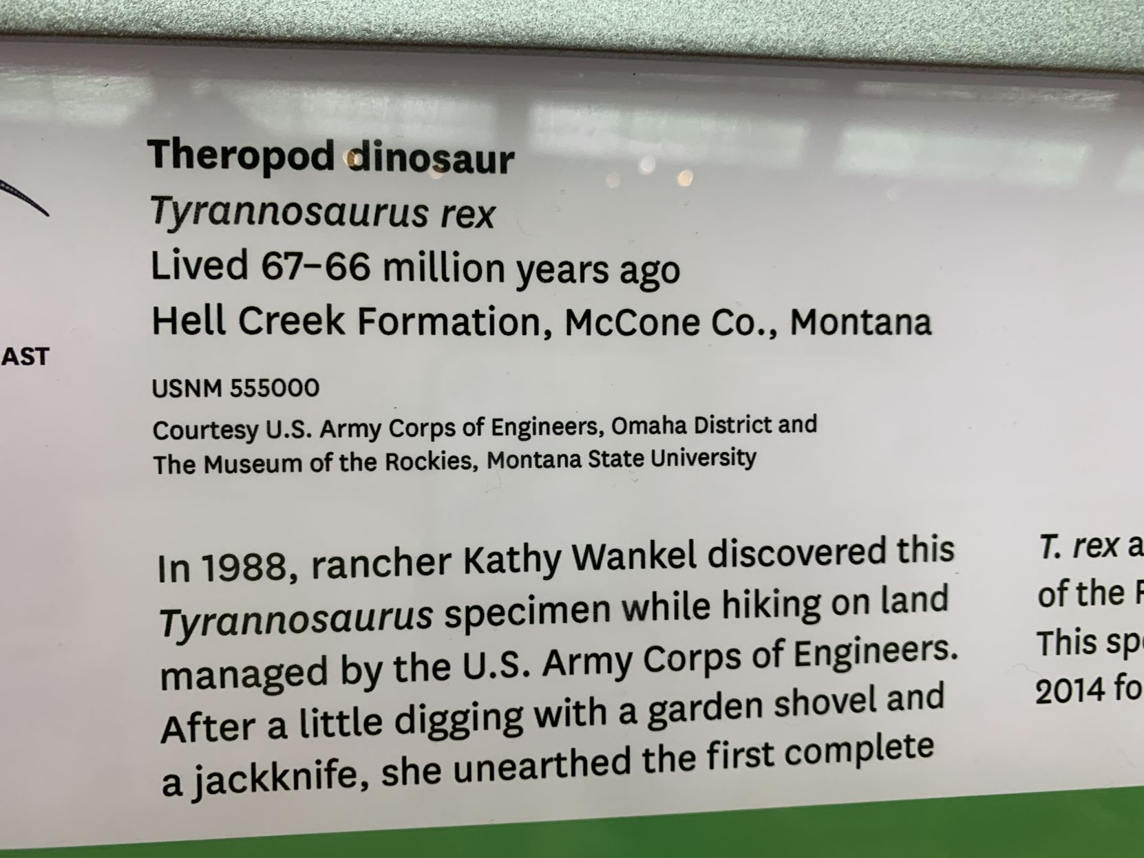 Montanas T-Rex goes on display in Washington D.C.